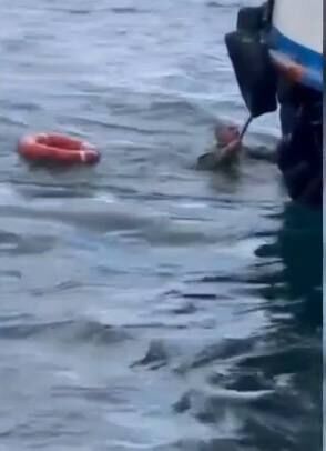 I S T A N B U L K A R A K O Y D E Y O L C U V A P U R U T E K N E 1187647 352887